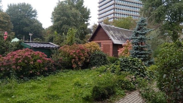Stichting Kinderboerderij De Uylenburg
